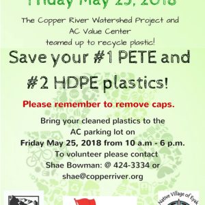 Plastic Recycling Event