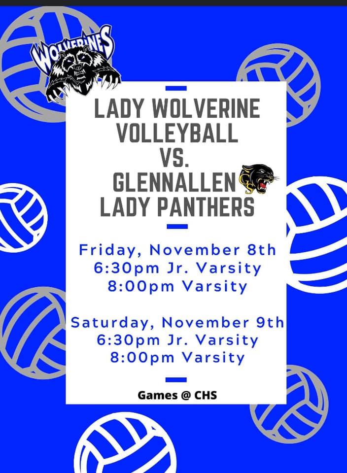 Lady Wolverine VolleyBall