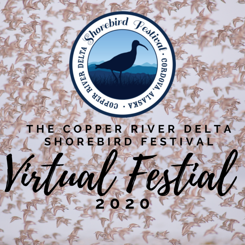 30th Copper River Delta Shorebird Virtual Festival
