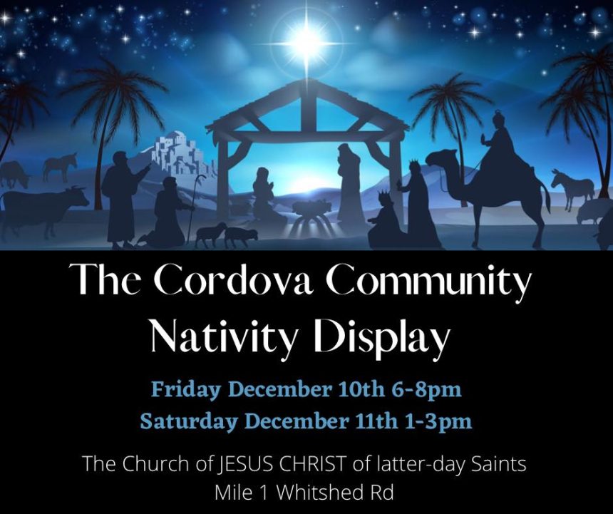Nativity Display