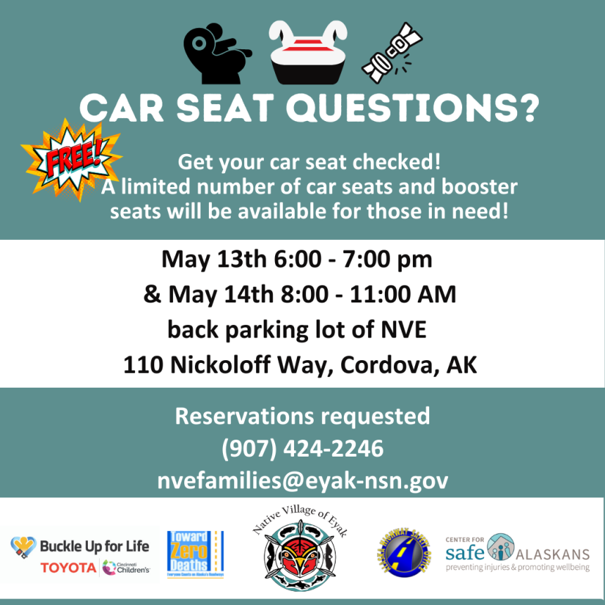 Car Seat Check Event