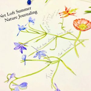 Net Loft Nature Journaling