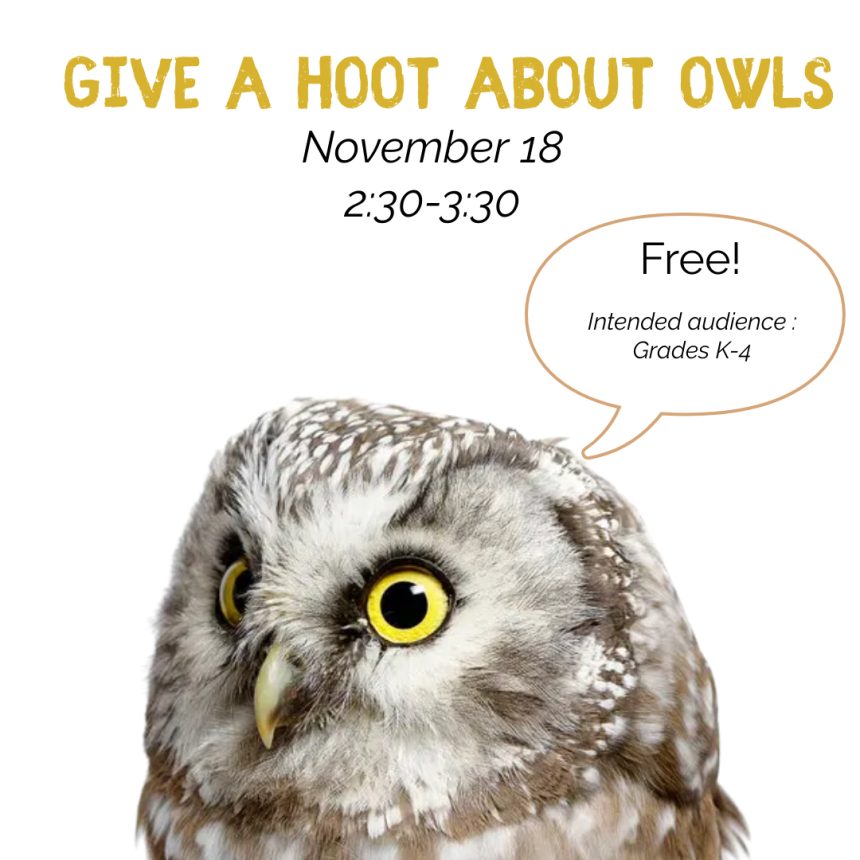 Discover Cordova: Give a Hoot About Owls