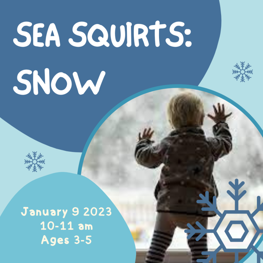 Sea Squirts: Snow-sational