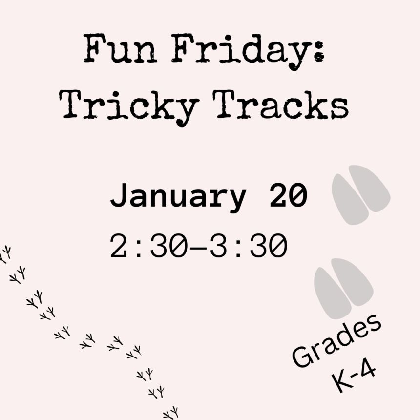 Fun Friday: Tricky Tracks