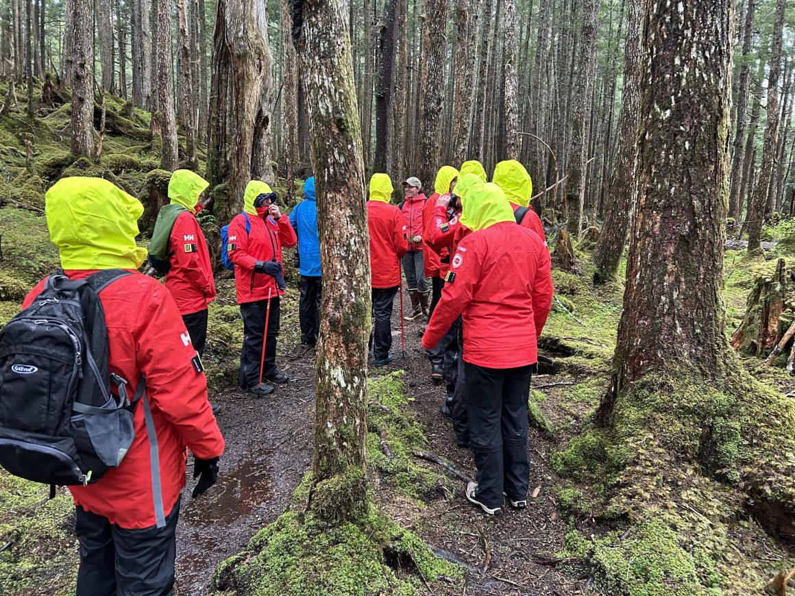 Temperate Rainforest Hike