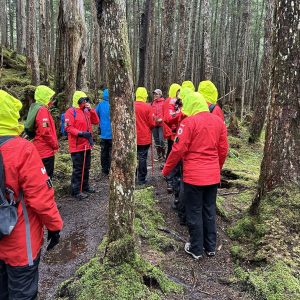 Temperate Rainforest Hike